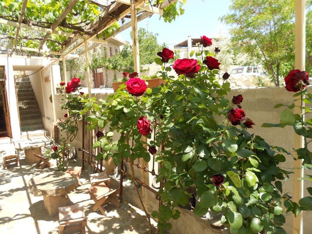 Valleypark Hotel Nevşehir Ngoại thất bức ảnh